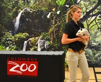 Visit from Columbus Zoo Thrills Children at Alcott Elementary