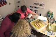 Livestream of egg hatch project 