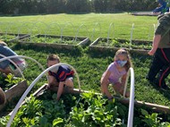 Robert Frost third-graders harvest 11 pounds of radishes