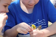 Butterfly project at Pointview Elementary